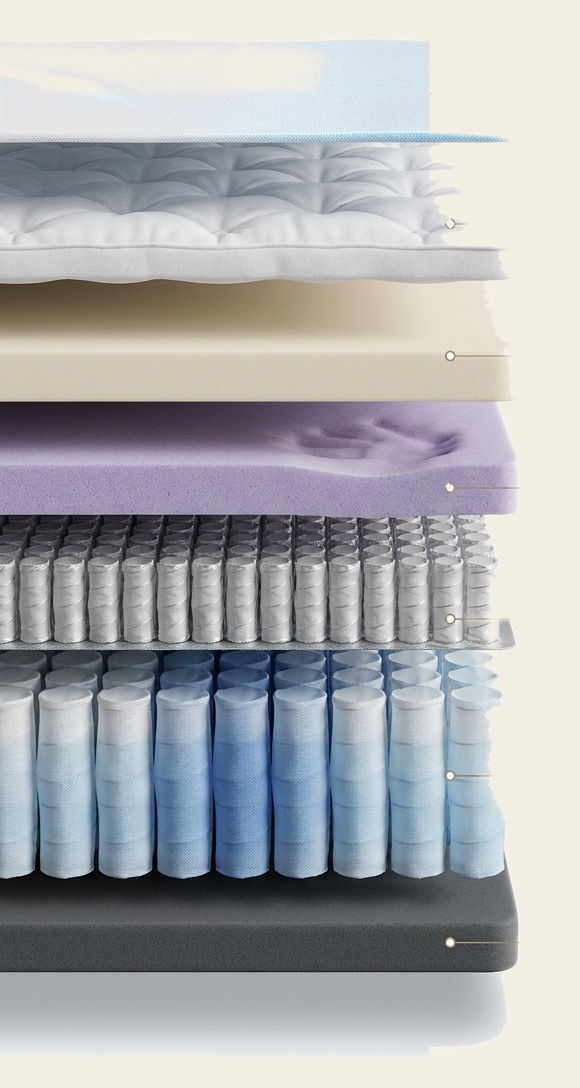 Cross-section of the Angel Bed's seven layers